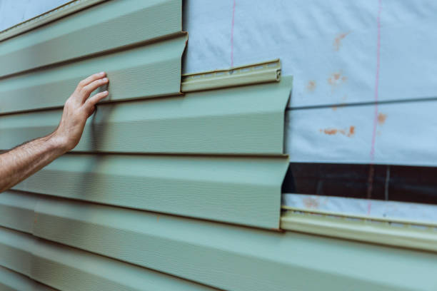 Best Custom Siding Design  in Bay Springs, MS